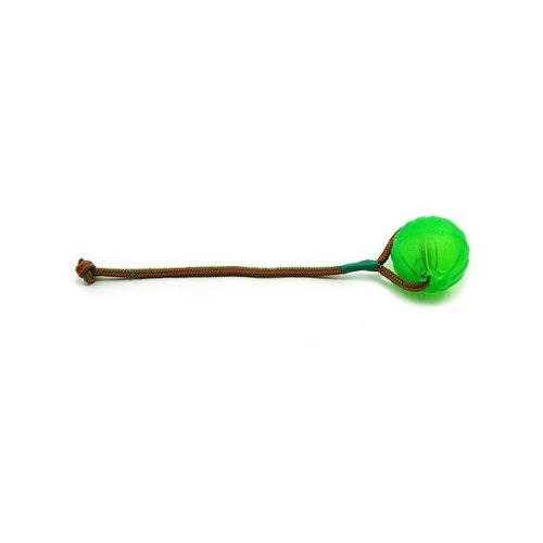 Chew Ball with string