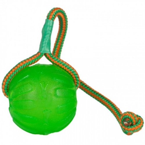 Chew Ball with string