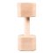 IGP Dumbell 2kg