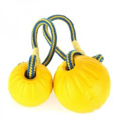 Durafoam Fetch ball with handle