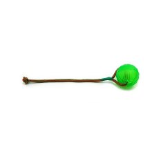 Chew Ball with string