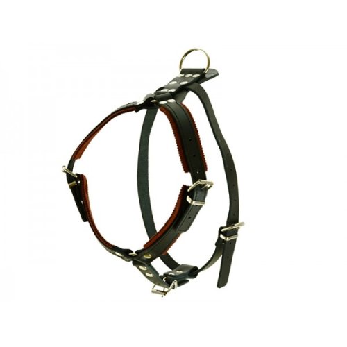 Leather Harness for defence  - female