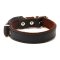 Raddog leather collar small