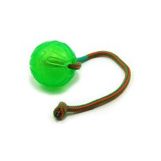 Chew Ball with string