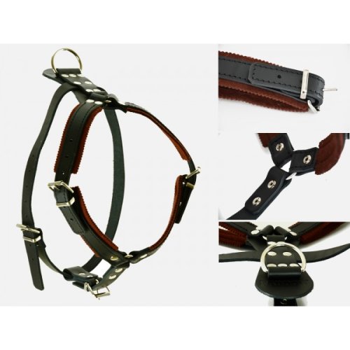 Leather Harness for defence  - female