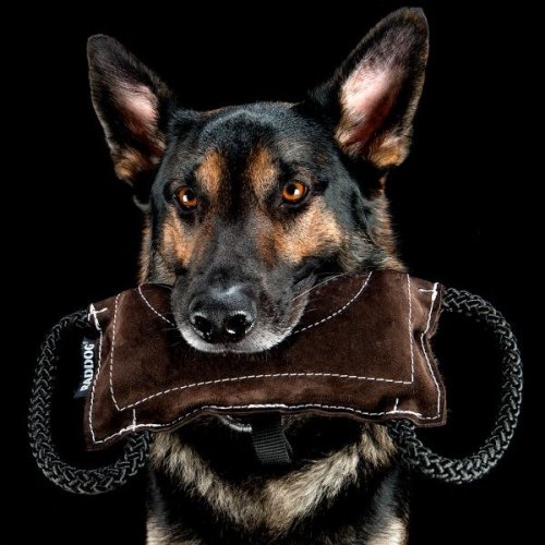 Bite Pad GLOBUS Leather