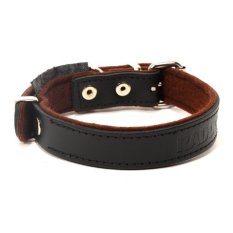 Raddog leather collar small